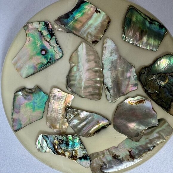 Vintage Betty's Shells Abalone Shell Round Trivet Hot Plate MCM Vomit Lucite - Picture 3 of 5